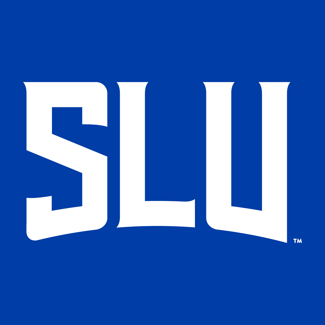 Saint Louis Billikens 2015-Pres Wordmark Logo iron on transfers for T-shirts